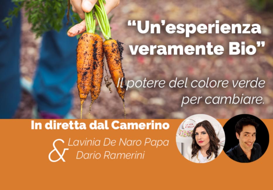 Esperienza Bio potere del colore verde articolo Lavinia De Naro Papa & Dario Ramerini